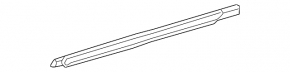Door-glass molding, central front left, Toyota Sienna 11-20