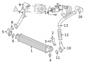 Intake Air Temperature Sensor Honda Insight 19-22
