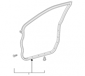 Toyota Camry v30 2.4 rear right door seal