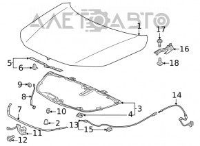 Hood hinge right Honda Civic XI FE/FL 22-