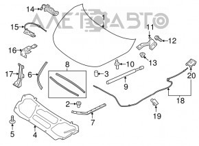 Hood seal right Nissan Murano z52 15-24
