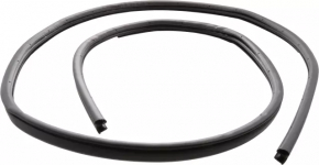 Door seal front right Nissan Maxima A36 16-