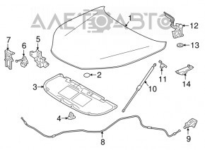 Hood hinge right Lexus NX200t NX300 NX300h 15-21 OEM