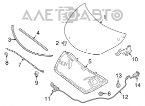 Nissan Altima hood lock 13-16