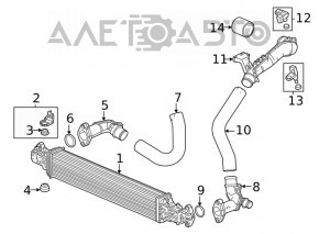 Intercooler Honda CRV 23- 1.5T