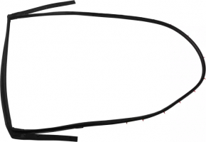 Rear left door seal Nissan Altima 13-18