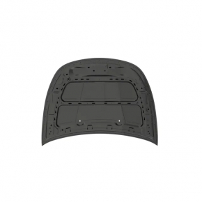 Hood bare Dodge Dart 13-16 dents