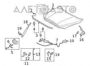 Hood shock absorber right Toyota Sequoia 08-16