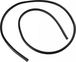 Door seal rear left Nissan Maxima A36 16-
