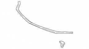 Hood seal on bumper Lexus NX300 NX300h 18-21 on bumper