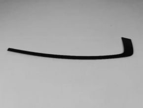 Upper rear right door molding Dodge Charger 11-