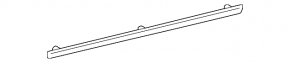 Door molding center front right Lexus ES300 ES330