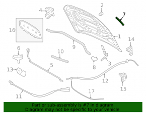 Hood seal right VW Jetta 19-