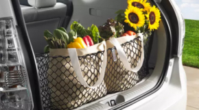 Trunk organizer net Toyota Prius V 12-17