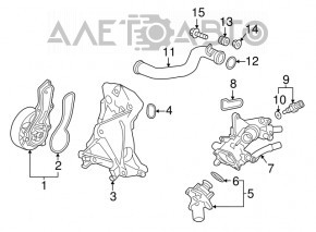Water pump hose Honda CRV 15-16 2.4