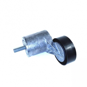 VW Passat B7 12-15 USA 2.5 camshaft tensioner pulley