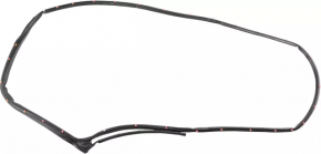 Nissan Kicks 18-25 rear left door seal