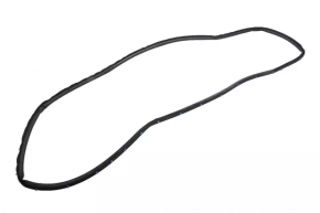 Rear left door seal GMC Terrain 18-