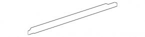 Door-glass molding, central front right, Toyota Prius 2009-2010