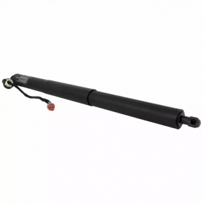 Lincoln MKX 16-18 Electric Tailgate Actuator