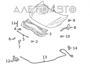Hood hinge right Nissan Sentra 20-