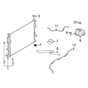 Radiator support lower left Ford Escape MK4 20-24 rubber