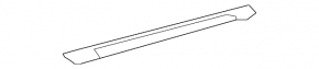 Lexus ES250 ES300h ES350 19-26 black front right outer door sill plate