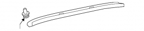 Upper trunk door trim Toyota Prius 50 16-22 black