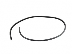 Door Seal Rear Left Dodge Charger 11-23