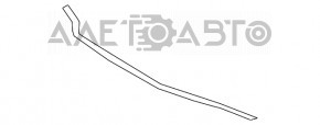 Lexus ES250 ES300h ES350 19-24 Hood Seal on Bumper