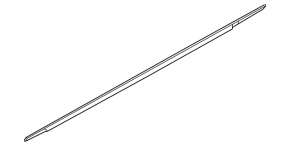 Molding door-glass central front left Nissan Sentra 20-24 chrome