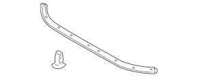 Hood Seal on Lexus IS250 IS350 06-13 Hood
