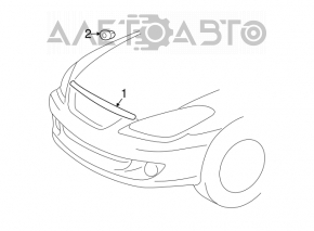 Chrome hood trim for Toyota Solara 2.4 04-08