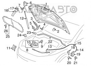 Hood hinge left VW Passat b8 16-19 USA