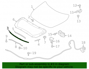 Hood Seal on Bumper Nissan Altima 19-24