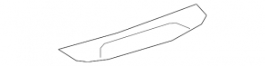 Lexus ES250 ES300h ES350 19-26 black rear right outer door sill plate