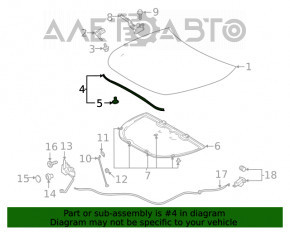 Hood Seal Toyota Highlander 20- on the hood