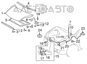 Hood seal front Toyota Prius 20 04-09