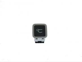 Chrysler Pacifica 20-24 interior tailgate release button