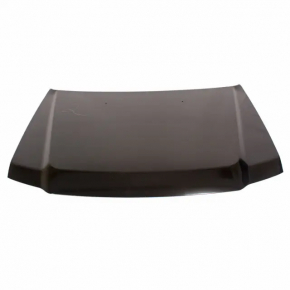Naked hood Ford Escape 08-12