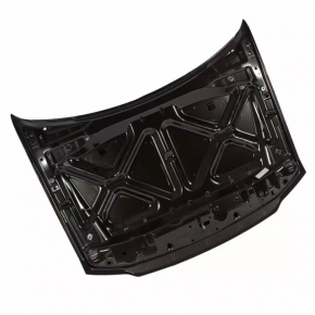 Naked hood Ford Escape 08-12