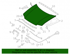 Naked hood Ford Escape 08-12