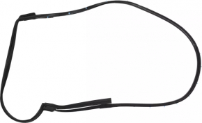 Rear right door seal Nissan Altima 19-24