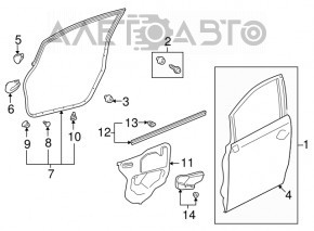 Front right door seal, lower, Lexus Hs250h 10-12