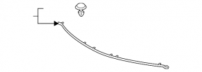 Hood seal on bumper Toyota Camry v70 18-24 SE/SXE