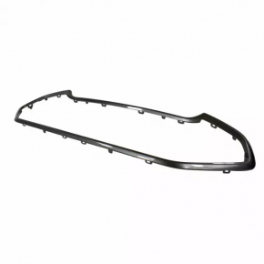 Frame of radiator grill grill Ford Ecosport 18-22 black