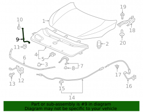 Honda Civic X FC 16-21 Hood Support