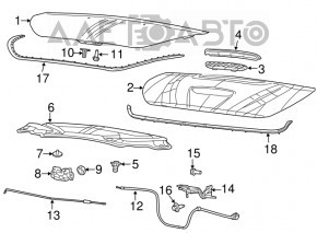 Dodge Dart 13-16 Hood Seal