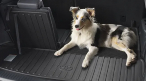 Toyota Highlander trunk mat (14-19) gray rubber