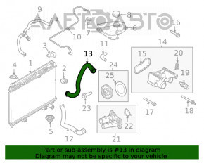 Lower cooling hose for Ford Fiesta 11-19 1.6